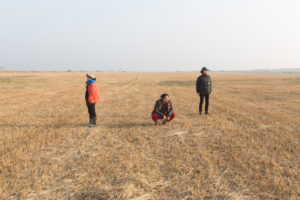 A wide, mown straw field on which three people are. All three are looking into the distance.