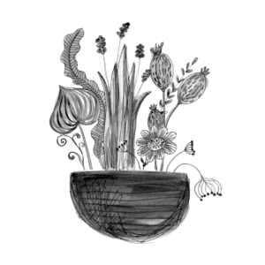 A drawing in black and white of a flower pot with various plants and flowers.