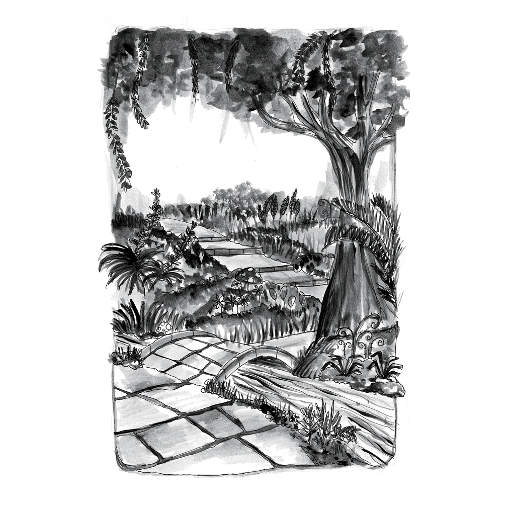 A black and white drawing of a paved path leading across a small stream, meadow outside, a tree, small shrubs and vines.