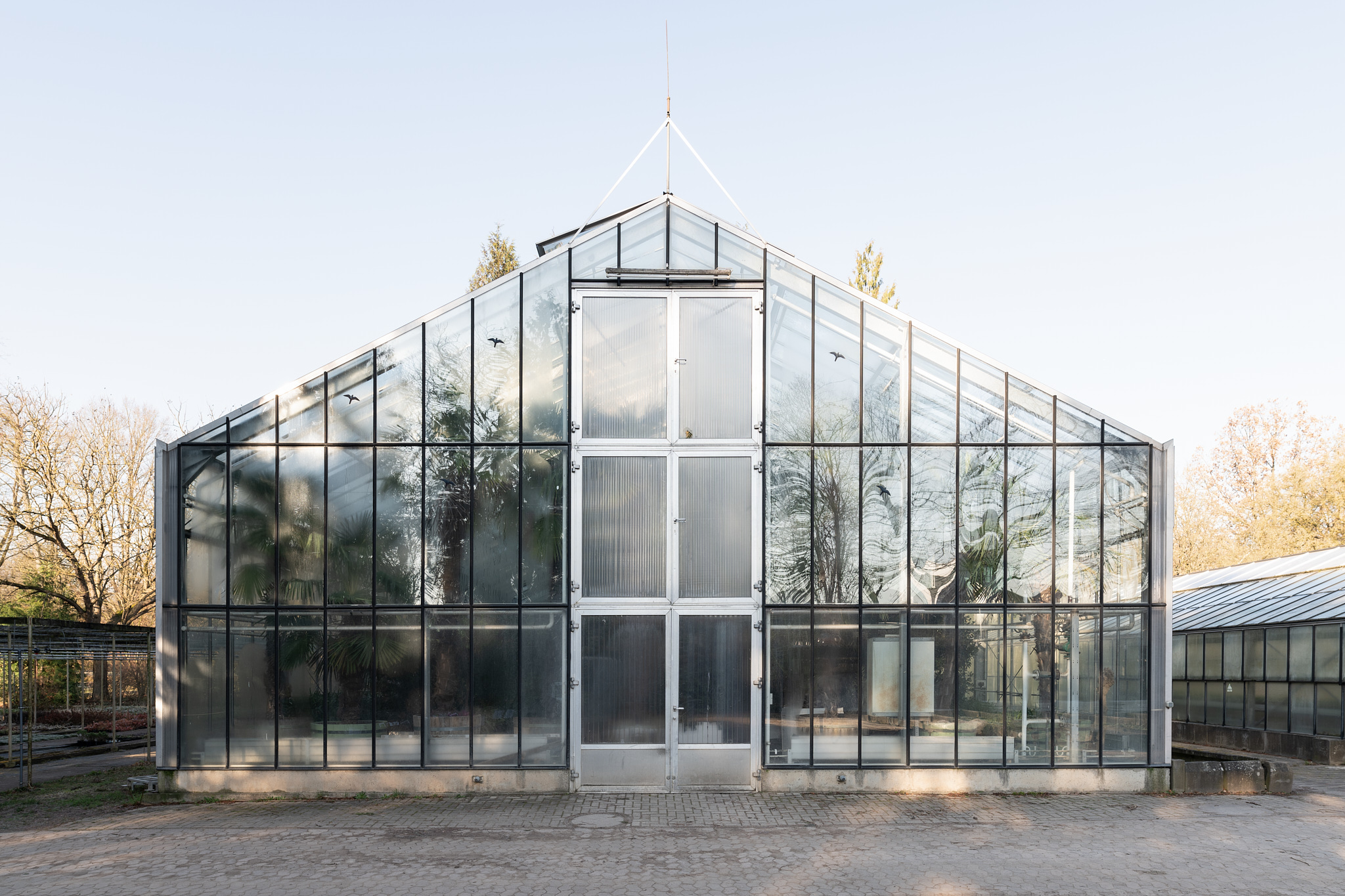 The photo shows the glass front of a greenhouse, behind it blue sky and a few trees. Inside the greenhouse you can see large plants.