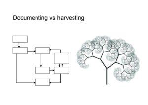 Links unter dem Wort documenting ein Diagramm mit leeren Rechtecken und rechts unter harvesting eine Verzweigung die wie ein Baum oder ein Gehirn aussieht.